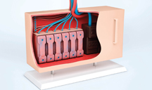 ddos攻击防御手段